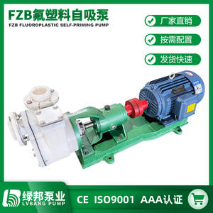 Bomba Autocebante de Fluoroplástico y Aluminio FZB de 40 hp de Baja Presión para Agua Limpia, Fabricada para Suministro de Agua - Product Image 4