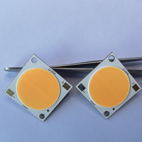 LED COB personnalisée 100W 200W 300W Bridgelux/Epistar LED COB haute puissance 2828 Cri95 200W LED COB