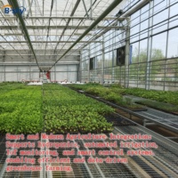 Invernadero de Vidrio Resistente para Proyectos de Cultivo Comercial de Vegetales a Gran Escala