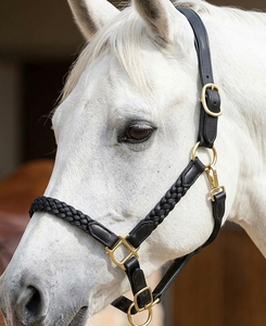 Stylish Full Leather <b>Braided</b> Horse Halter for Equestrian Use Comfortable & Durable High Quality DD Leather with Brass Fittings - Product Image 2