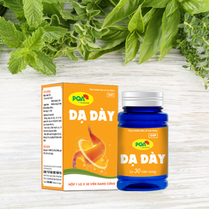 Cápsulas de Gelatina Dura para el Cuidado del Estómago, Suplemento para la Salud con Duración de 36 Meses, Apoyo Gastrointestinal, 30 Cápsulas por Envase - Product Image 1