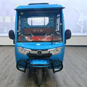 Triciclos Eléctricos de Carga con Motor de 1000W, Certificados para Uso de Pasajeros, Opciones de 48v y 72v - Product Image 4