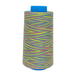 Eco-friendly 40S/2 3000 Yard 100% Polyester High Tenacity Dyed Sewing Thread in Multi Color Rainbow 100g - Product Image 4
