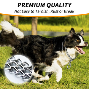 Steel Nickel Plated <b>Chain</b> <b>Dog</b> <b>Collar</b> & Name Tag ID Tag Durable & Strong for Walks & Going Out - Product Image 5