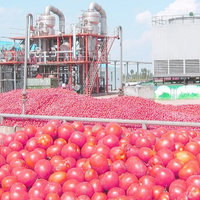 Ligne de production de sauce tomate, ketchup, pulpe de tomate, concentré de tomate