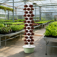 Tour de culture hydroponique aéroponique à 13 niveaux avec tiges métalliques pour herbes aromatiques