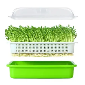 Sprout Bean vegetable planting with high cover lid heat preservation and moisturizing seedling tray soilless cultivation kit