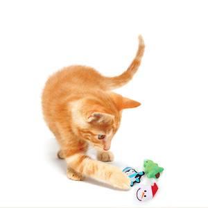 Produk persediaan hewan peliharaan penjualan terbaik pabrik Mainan <span class=keywords><strong>Catnip</strong></span> kucing interaktif mewah kunyah - Product Image 5