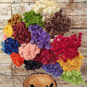 Ghirlanda di Fiori Secchi di Aster Brasiliano, Margherite di Montagna Piccole, per Decorazioni Natalizie Fai-da-te, Ghirlanda Popolare - Product Image 3