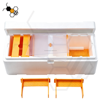 Hochfeste EPS Doppel-Bienenköniginnen-Zuchtbox, Mini-Bienenstock mit 4 Rahmen, Bienenzucht-Nukleusbaukasten für die Imkerei