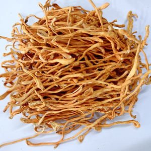 Cordyceps militaris séché biologique de qualité supérieure, champignon séché <span class=keywords><strong>comestible</strong></span> naturel - Product Image 4