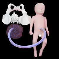 Ensemble de modèles d'accouchement KyrenMed modèle de bassin féminin grandeur nature et poupée bébé avec cordon ombilical modèle d'accouchement placenta