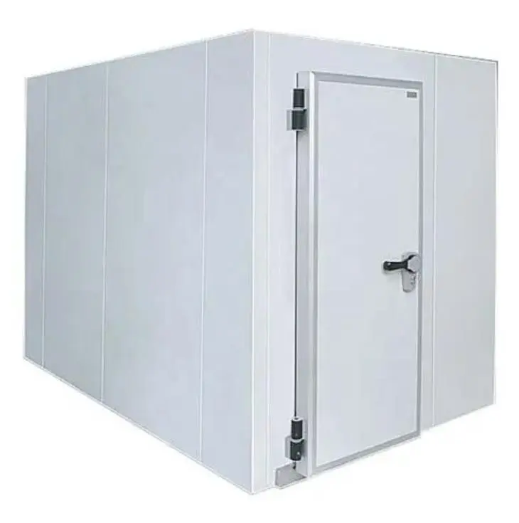 판매를 위한 냉각기 냉장고에 있는 주문 크기 폴리우레탄 절연제 패널 저온 저장 냉장고 도보