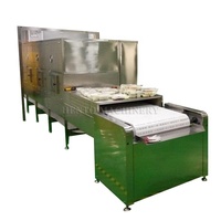 Automatische Tunnel Magnetron Drogen Sterilisatie Machine/Magnetron Fruit En Groente Droger/Magnetron Riem Droger