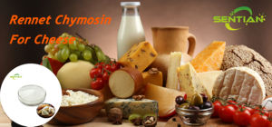 Présure végétale Présure enzymatique chymosine Présure pour la fabrication du fromage Présure microbienne - Product Image 4
