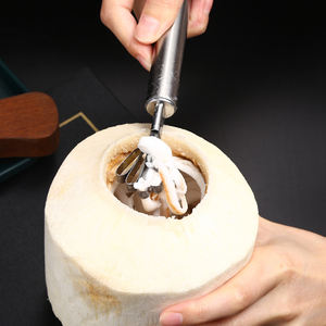 Logo personnalisable ménage poinçon en acier inoxydable grattage multifonction ouvre-bouteilles en métal ouverture coquilles de noix de coco usage domestique - Product Image 5