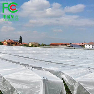 Couverture de verger agricole de qualité supérieure <span class=keywords><strong>pour</strong></span> la protection contre la pluie de cerises meilleure bâche de film plastique de <span class=keywords><strong>serre</strong></span> <span class=keywords><strong>pour</strong></span> raisins fraises - Product Image 4