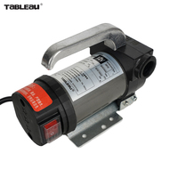 Pompe à Huile Électrique Portable 12V DC en Gros, 175W, 40L/min, Aspiration 5m, Hauteur de Refoulement 10m, Pompe de Transfert de Carburant Diesel Modèle 12V OEM ODM