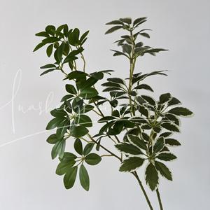 Ramas Artificiales de Schefflera HSKLZ 02, Ramo de Hojas Verdes, Decoración de Mesa Interior, Decoración para Bodas y Hogar - Product Image 2