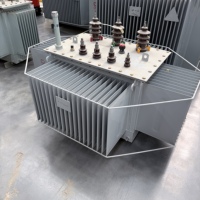 Transformateur toroïdal triphasé à bain d'huile haute efficacité 30-2500KVA 50/60Hz pour usage industriel, fabricant chinois