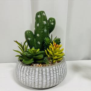 Planta Artificial <span class=keywords><strong>de</strong></span> <span class=keywords><strong>Cactus</strong></span> en Maceta - Decoración <span class=keywords><strong>de</strong></span> Pared Interior Verde <span class=keywords><strong>de</strong></span> Alta Simulación y Duradera para el Día <span class=keywords><strong>de</strong></span> San Valentín y el Día <span class=keywords><strong>de</strong></span> la Madre - Product Image 6