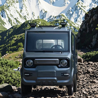 Mini camionnette électrique à quatre roues, véhicule à énergie nouvelle, batterie de 30 kWh, autonomie de 100 km, transport de passagers et de marchandises, fonctionnalités de plateau de chargement