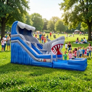 Tobogán Acuático Inflable con Forma de Tiburón Megalodon, Estilo Moderno, con Piscina, para Uso Comercial - Product Image 1