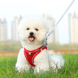 Han Ke Miao Pet <b>Harness</b> Vest Breathable Reflective Chest Strap For <b>Dog</b> Walking Outdoor Use Small Medium <b>Large</b> Size - Product Image 2