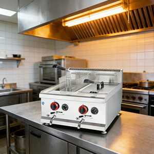 <span class=keywords><strong>Friteuse</strong></span> professionnelle en acier inoxydable au <span class=keywords><strong>gaz</strong></span> naturel avec une capacité de <span class=keywords><strong>10</strong></span> <span class=keywords><strong>litres</strong></span> - Product Image 6