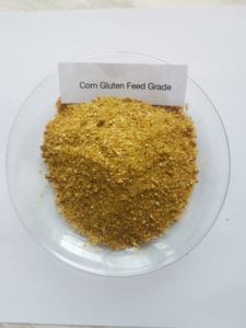 מכירה חמה של מזון בקר כבשים לגידול בריא גידול חלבון גבוה חלבון תירס - Product Image 2