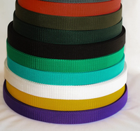 Sangle en polyester colorée 100 % écologique – Couleurs et motifs personnalisés, différentes tailles pour sacs, chaussures et textiles de maison