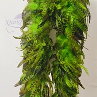 Boas de plumes de coq chinchilla Schlappen de 2 m, teintes, pour costumes de danse, fêtes, festivals, spectacles et performances scéniques