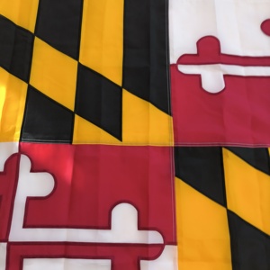 ธงแมริแลนด์สำหรับภายนอกอาคาร ขนาด 3 x 5 ฟุต ผ้าอ็อกซ์ฟอร์ดสำหรับใช้งานกลางแจ้ง ทนทานต่อการซีดจาง ธงรัฐสหรัฐอเมริกาพร้อมลวดลายปัก - Product Image 3