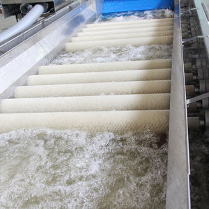 Công Nghiệp Rau Tươi Trái Cây Khô Ngày Máy Giặt Điều Kiện Mới Lõi Động Cơ Động Cơ Thành phần Chế Biến Thực Phẩm Sấy Khô - Product Image 5