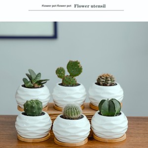 Vente directe d'usine Napin, <span class=keywords><strong>pot</strong></span> de fleurs de bureau moderne en porcelaine blanche émaillée respirante de marque JADE, capacité de 1 à 2 L, transfrontalier - Product Image 5