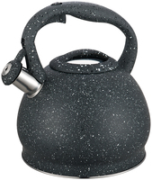 Bouilloire sifflante en acier inoxydable de 2,5 L, théière de camping avec fond à induction pour usage domestique