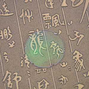 Tomm Hogg-arco compuesto de repuesto para tiro con arco, lente de repuesto para tiro con arco al aire libre, equipo de accesorios, 4x/6x/8x, 1 ud. - Product Image 4