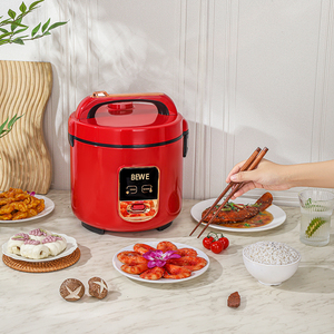 Vente Directe Fabricant Chinois Cuiseur à Riz Automatique 400W 500W pour Appareil de Cuisine Marque Chinoise Personnalisable - Product Image 3