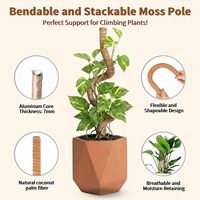 Support en plastique Coco Moss Pole de style moderne pour plantes grimpantes Monstera, design empilable