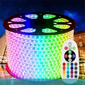 Outdoor Crismas decoration smart outside IP68 Zigbee ropelight 230v 2700k led strip 220v rgb light