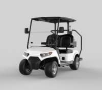 Chariot de golf élévateur personnalisé diversifié avec batterie au lithium Chariot de golf électrique 48V