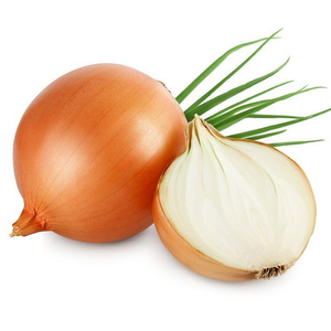 Cebolla Roja Marca Moon Star Texas Grano OPV 99.99% Pureza Origen Pakistán 85% Germinación Solución Agrícola Comercial para Cultivos - Product Image 5