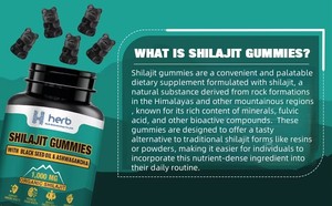 Suplemento de Enzimas en Gomitas de Shilajit Puro del Himalaya, Marca Privada ODM/OEM, Ácido Fúlvico 85+, Minerales Traza 85+, Refuerzo Inmunológico para Adultos - Product Image 3