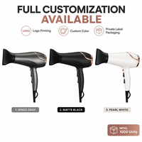 Sèche-cheveux professionnel à prix compétitif, température constante, séchage rapide, céramique PTC, 3 réglages de chaleur, avec lumière LED