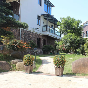 High-quality Outdoor Home Decoration Artificial Plants and <b>Trees</b> Landscape <b>Plastic</b> Fake <b>Tree</b> Flowers - Product Image 6