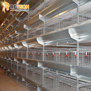 Cage d'élevage automatique pour poussins d'un jour, galvanisée à chaud, pour poulets de chair - Product Image 4