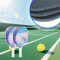 Raquette de pickleball JMFY OEM, noyau en nid d'abeille non tissé en PP, résistante aux UV, imperméable, certifiée ROHS, pour les sports professionnels