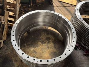 <span class=keywords><strong>Bearing</strong></span> Slewing Kustom Pabrik untuk Gear Luar Crane dan <span class=keywords><strong>Excavator</strong></span>, Ring Slewing untuk Bantalan Peralatan Pengangkat - Product Image 5