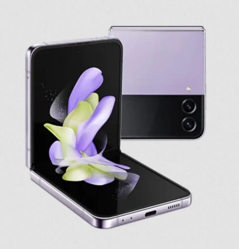 Bora Purple
