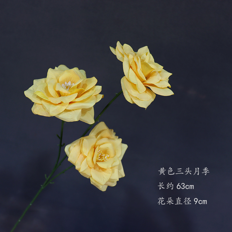 Rose jaune à trois têtes, une branche